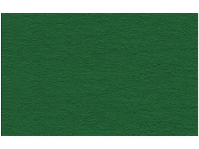 Fotokartong URSUS A4 300g mørk grønn