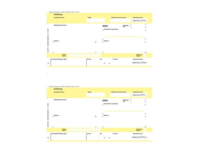 Giro A4 Laser 2 stk 1x (2500)
