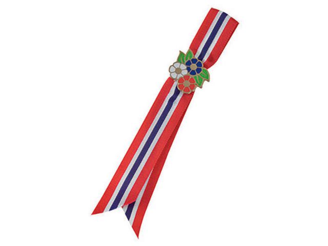 Sløyfe 12cm for barn i rødt/hvitt/blått