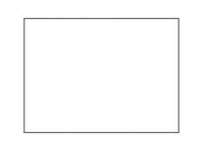250 Denier Polyester Flag-White-Grommet