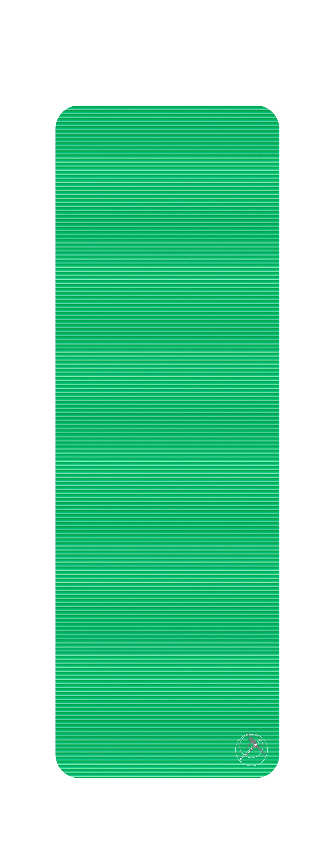 Profi Gymmatter 180 x 120 x 1,5 cm