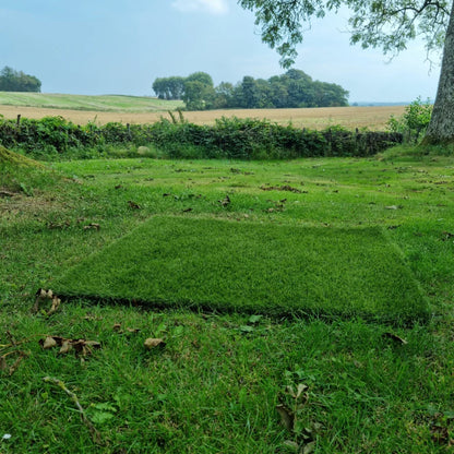 Karla ECO naturlig kunstgress