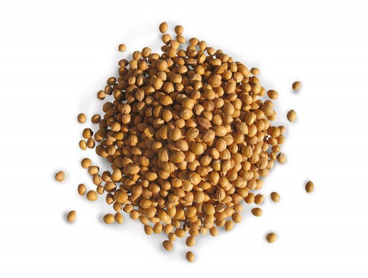 Wenea Kirsebærsteiner 5 kg