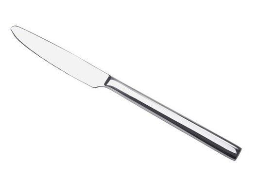 Bordkniv Insight 22cm rustfritt stål