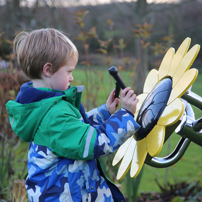Petal Drum Sunflower