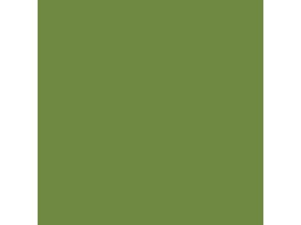 Serviett DUNI 3L 24cm Leaf Green (250)